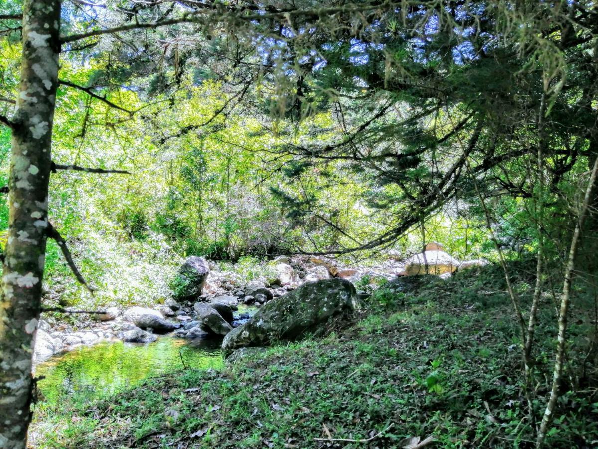 Cabana Treehouse Mountain View San Isidro  Εξωτερικό φωτογραφία